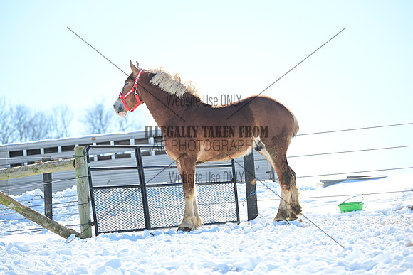 file_177319536128