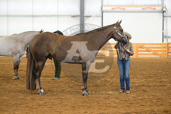 AJB_2067