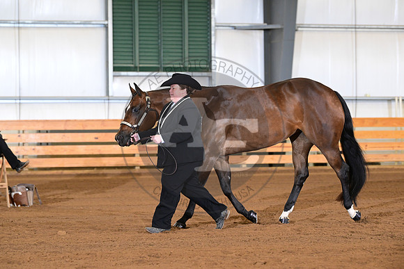 AJB_0848