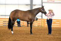 121. 2 Year Old Mares