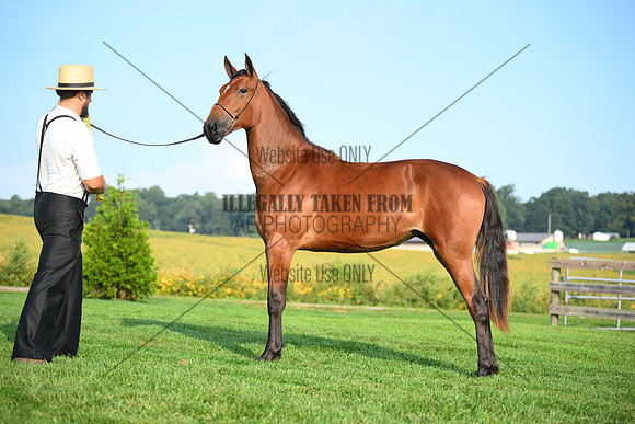 AJB_0668
