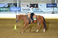 AJB_4030