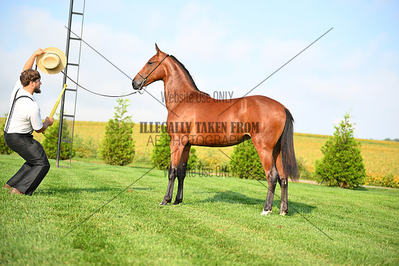 AJB_0746