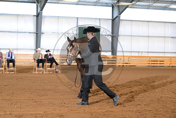 AJB_0866