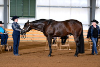 AJB_0934