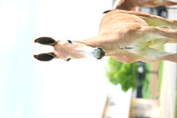 file_247688487936