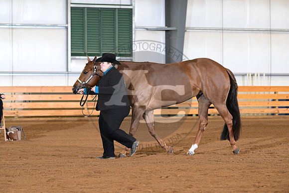 AJB_0796