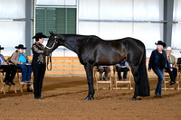 AJB_0960