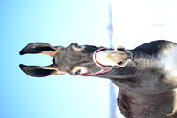 file_176895366144