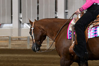 111 All Breed Walk Trot Western Horsemanship