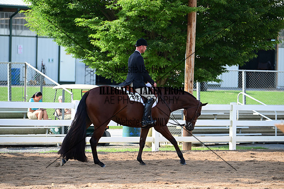 AJB_3620