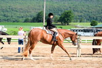 AJB_3761