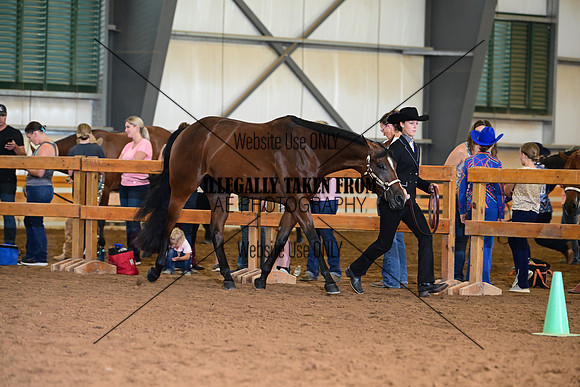 AJB_0493