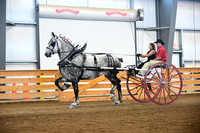 AJB_0260