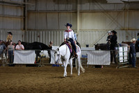 L2 Amateur Western Pleasure