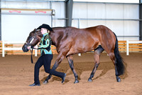 AJB_0595