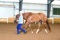 AJB_0154