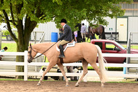 AJB_6452