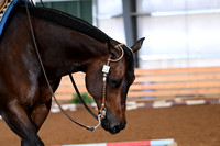 AJB_5580