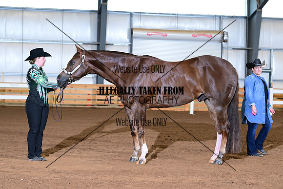 AJB_0622