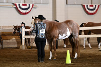 77 All Breed Walk Trot Showmanship 19+
