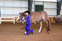 AJB_0364