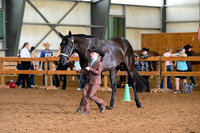 AJB_0734