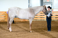 AJB_0984