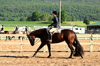 AJB_9973