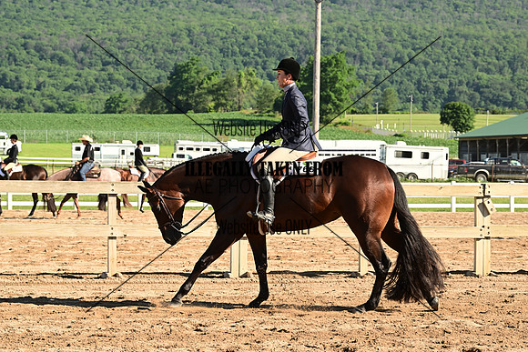 AJB_9973
