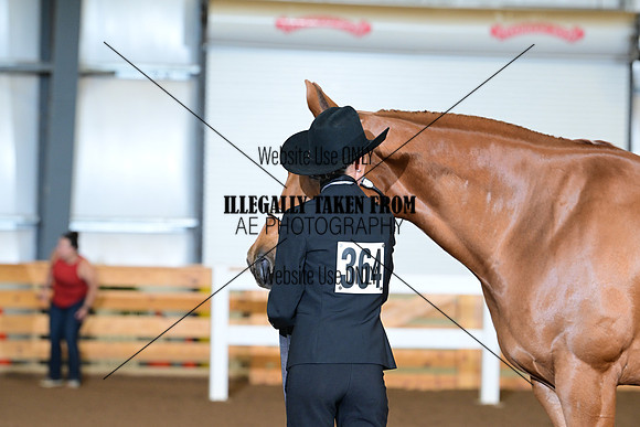 AJB_0019