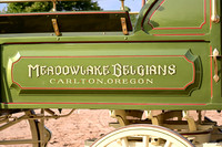 Meadowlake Belgians