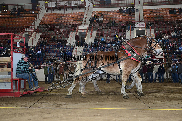 ASH_2807