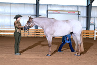 AJB_0293