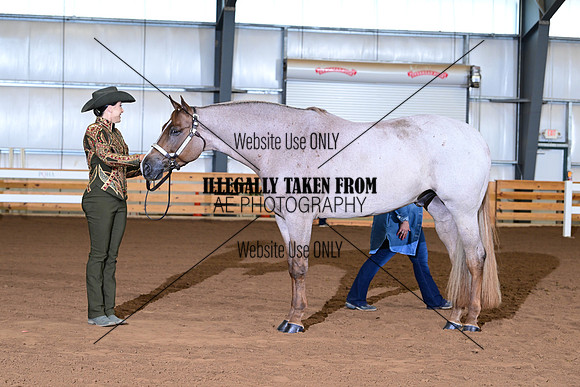 AJB_0293