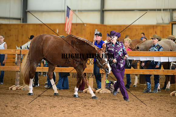 AJB_0246