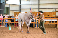 AJB_0290
