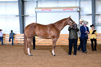 AJB_0946