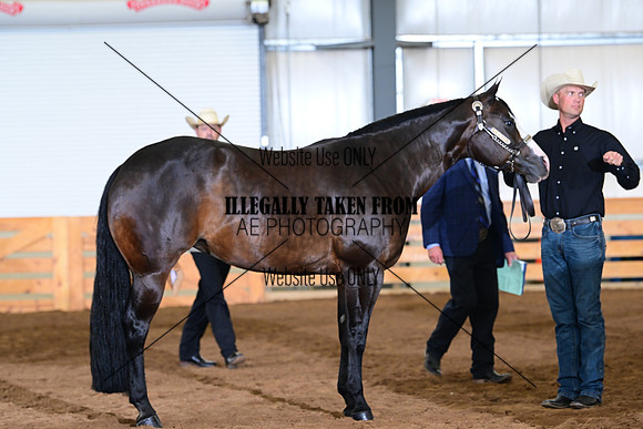 AJB_0831