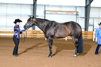AJB_0057