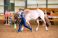 AJB_0305