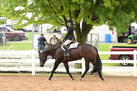 AJB_6577