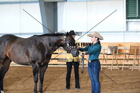AJB_0979