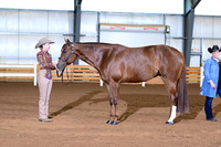 AJB_0614