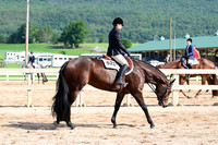 AJB_3911