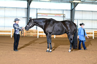 AJB_0147