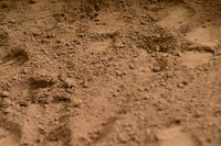 AJB_0957