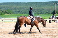 AJB_3972