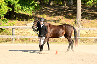AJB_0273