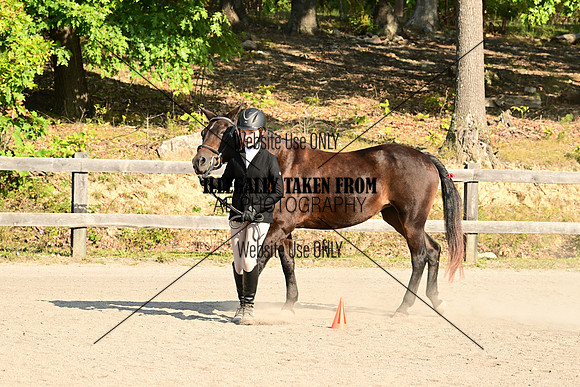 AJB_0273